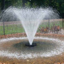 Landscape Ideas