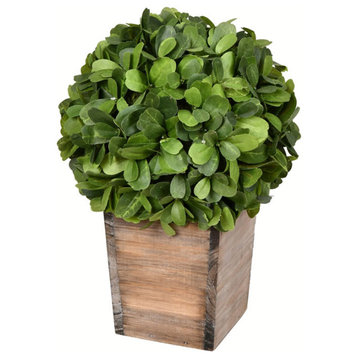 11" Potted Boxwood Ball
