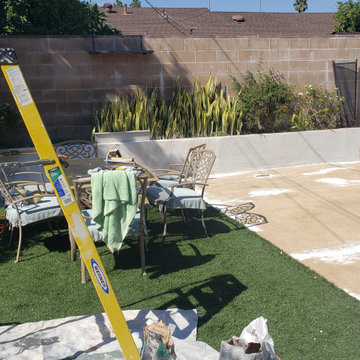 Backyard clean up and remodel