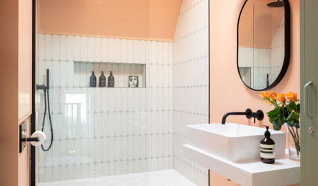 Room Tour: Soft Terracotta Warms a Cleverly Designed Bathroom