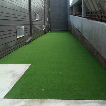 Commercial Dog Turf Installations
