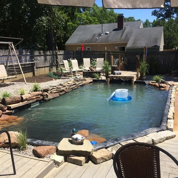 Pond Pool