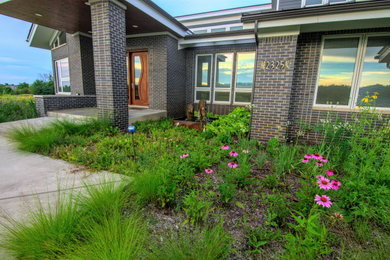 Contemporary Native Plant Prairie