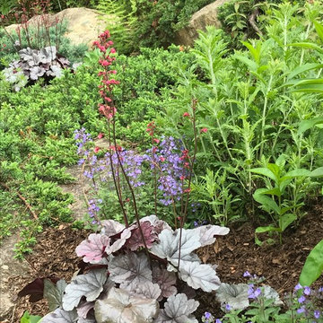 Spring border closeup