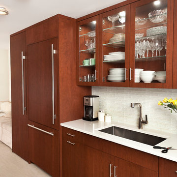Contemporary Kitchen
