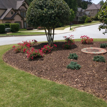 Our Work