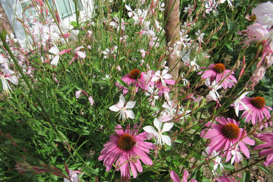 Inspiration for a small craftsman full sun front yard concrete paver vegetable garden landscape in Seattle for summer.