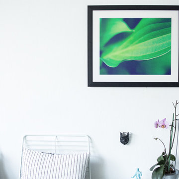 Mellow Hosta Leaves Botanical Nature Photograph Wall Art Prints