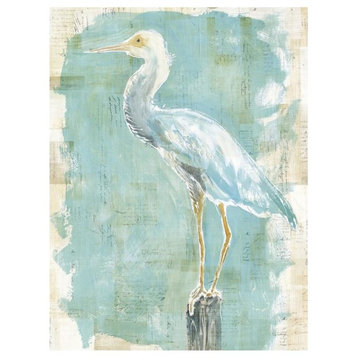 "Coastal Egret II v2" Digital Paper Print by Sue Schlabach, 14"x18"
