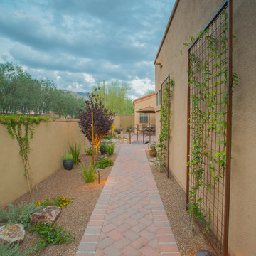 Transformed Tucson Courtyard