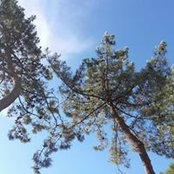 Anne Piveteau's photo