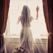 Jeannine Smolinsky Perotto's photo