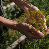 Michelle Forest's photo