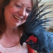Shauna Roberts's photo