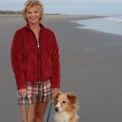 Vicki Patterson's photo