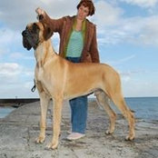 Sharon Foxhall's photo