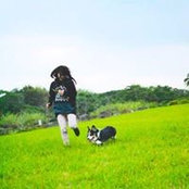 IY Lln's photo