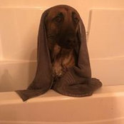 Jimmy Wesley's photo