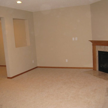Basement Finish
