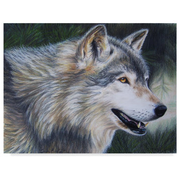 Carla Kurt 'Timber Wolf Dark' Canvas Art