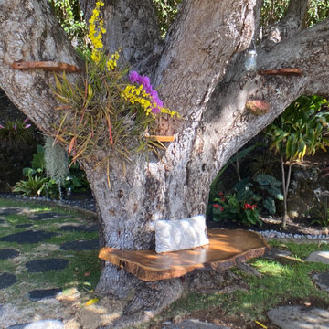 100 Year Old Tree Bench