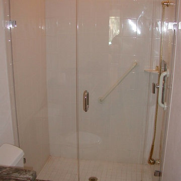 Pivot Door and Fixed Inline Panel