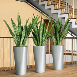 Modern Planter - Products