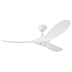 Transitional Ceiling Fans by Benjamin Rugs and Furniture