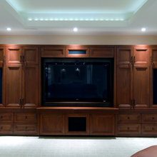 Entertainment Unit