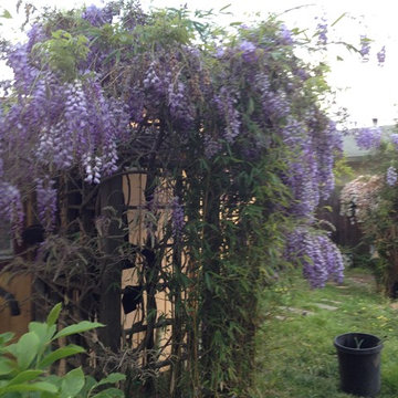 Outdoor Shower