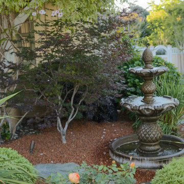 Garden Fountain Beneath a Japanese Maple