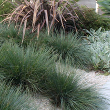 nancyinnergardens's Ideas