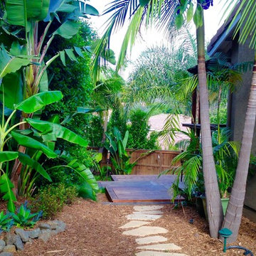 Contemporary Costa Rican Tree House