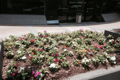 This is an example of a landscaping in Atlanta.