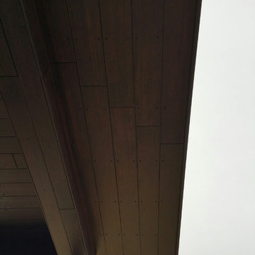 dassoXTR Rain Clad Siding in Blue Bell PA