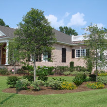 Tree beds
