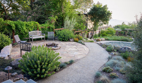 Hillside Yard Offers Scenic Views and Space for Contemplation