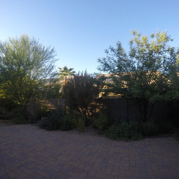 Plantings - 4 years