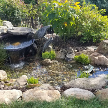 Ponds and Streams