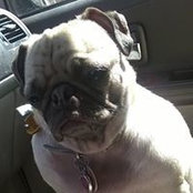 Alma Halterman's photo