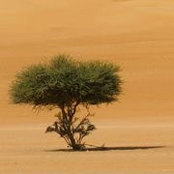 Mohammed Al Ghafri's photo