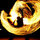 bodhi_development