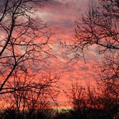 Wayne Pawlosky's photo