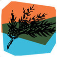 Creative Environmental Design's profile photo