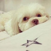 Ting Ting's photo