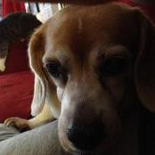 Michele Crusco's photo