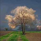 Foto von Steven Howe