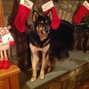 Susan Brophy's photo