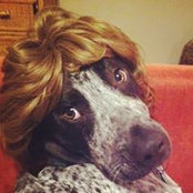 Brian Holwerda's photo