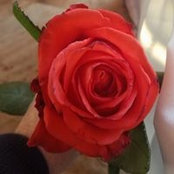 Jeannene Lenahan's photo